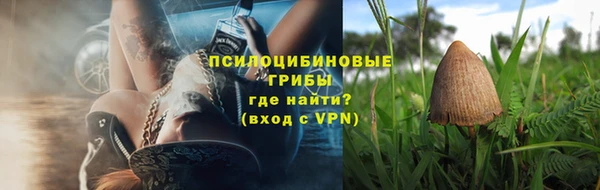 ALPHA PVP Белокуриха