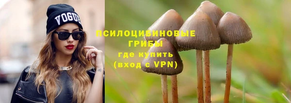 ALPHA PVP Белокуриха