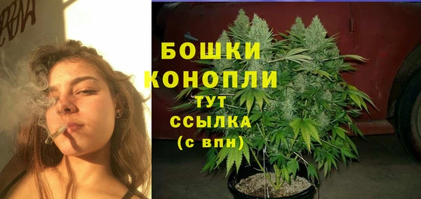 ALPHA PVP Белокуриха