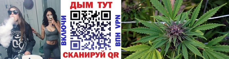 Каннабис SATIVA & INDICA где найти наркотики Курильск